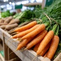 Fresh carrots on display at a market stall Royalty Free Stock Photo