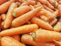 Fresh carrots display Royalty Free Stock Photo