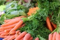 Fresh Carrots at a farmer market in France, Europe. Italian carrots. Street French market at Nice.