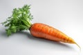 Fresh carrots garden. Generate Ai