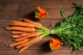 Fresh carrots and glasses of carrot juice on old wooden table, top view Royalty Free Stock Photo