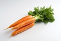 Fresh carrots with green leaves isolated on white background. Studio shot Royalty Free Stock Photo