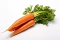 Fresh carrots with green leaves isolated on white background. Studio shot Royalty Free Stock Photo