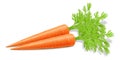 Fresh carrots with green stems, isolated on white. Side view. Close up. Realistic 3d vector illustration. for cooking, menu, Royalty Free Stock Photo