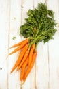 Fresh carrots with green tops