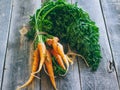 Fresh carrots with green tops