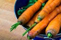 Fresh Carrots And Greens Royalty Free Stock Photo