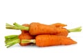 Fresh carrots with half stems
