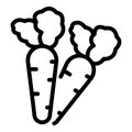Fresh carrots icon, outline style