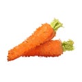 Fresh carrots illustration of blots