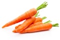 Fresh carrots isolated on white background