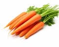 fresh carrots isolated on a white background.