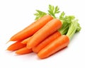 fresh carrots isolated on a white background.