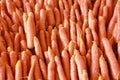 Fresh carrots on a market stall Royalty Free Stock Photo
