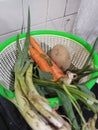 Fresh Carrots, Onions, Green Onions, and Potatoes in a Bright Green Basket Royalty Free Stock Photo