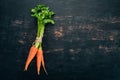 Fresh carrots. Organic food. On a black background. Royalty Free Stock Photo