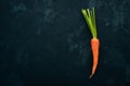 Fresh carrots. Organic food. On a black background.