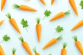 Fresh carrots and parsley leaves arranged on a light blue background, creating a vibrant pattern. Royalty Free Stock Photo