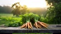 Fresh Carrots on Rustic Tray in Lush Green Farm Field