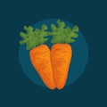 Fresh carrots vegetables icon