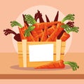 fresh carrots vegetables in wooden crate