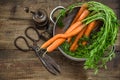 Fresh carrots with vintage kitchen utensils on rustic wooden background Royalty Free Stock Photo