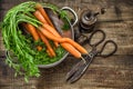 Fresh carrots with vintage kitchen utensils on rustic wooden background Royalty Free Stock Photo