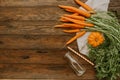 Fresh carrots on wooden background