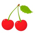 Fresh cartoon red pair cherries icon logo emblem isolated on white background. Vector illustration for any design Royalty Free Stock Photo