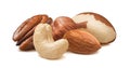 Fresh cashew, almond, pecan, hazelnut and brazil nut isolated on white background Royalty Free Stock Photo