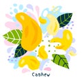 Fresh cashew color splash organic food condiment spice splatter. Spicy herbs nuts.