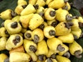 Fresh Cashew Fruits