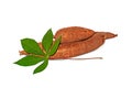 Fresh cassava on isolated on white background Royalty Free Stock Photo