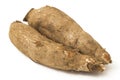 Fresh Cassava root isolated on a white Royalty Free Stock Photo