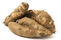 Fresh Cassava root isolated on a white Royalty Free Stock Photo