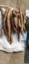 Fresh Cassava root for sale. Royalty Free Stock Photo