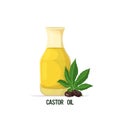 fresh castor oil glass bottle with beans and leaves isolated on white background