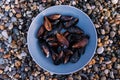 A fresh catch of mussels on the wet shore of the sea in a grey plate Royalty Free Stock Photo