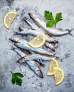 Fresh catch Shishamo fish fully eggs flat lay on shabby metal ba Royalty Free Stock Photo