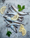 Fresh catch Shishamo fish fully eggs flat lay on shabby metal ba Royalty Free Stock Photo