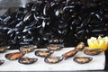 Fresh catched mussels at the fish market