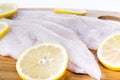 Fresh Catfish Fillets Royalty Free Stock Photo