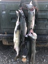 Fresh caught Alaska salmon for dinner