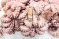 fresh-caught seafood, octopuses on ice at the fish market, background Royalty Free Stock Photo