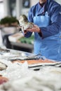 Fresh fish and clams presentated by the fishdealer Royalty Free Stock Photo