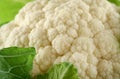 Fresh Cauliflower 2 Royalty Free Stock Photo