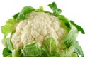 Fresh Cauliflower 4 Royalty Free Stock Photo