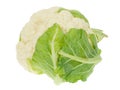 Fresh cauliflower Royalty Free Stock Photo