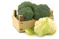 Fresh cauliflower and broccoli in a wooden crate Royalty Free Stock Photo