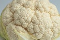 Fresh cauliflower cabbage vegetable on white background Royalty Free Stock Photo